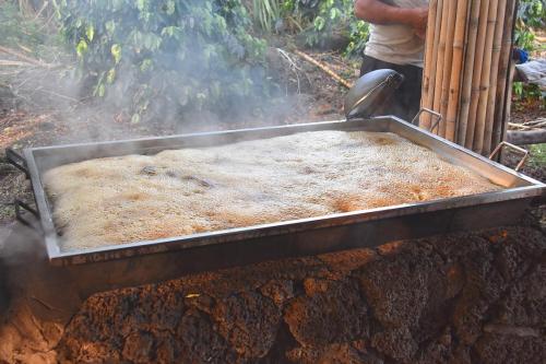 Making the hooch from the sugar cane