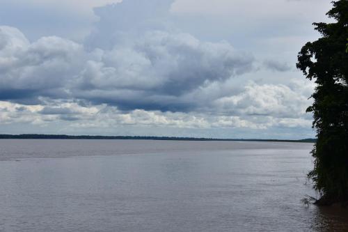 The Amazon River