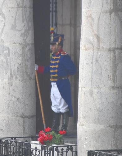 Presidential Palace guard