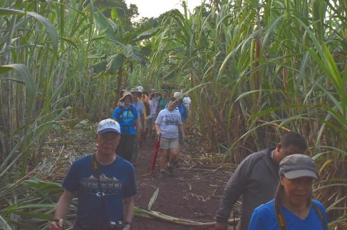 Walking through the farm