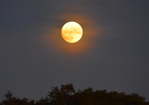 Moon over Cumberland